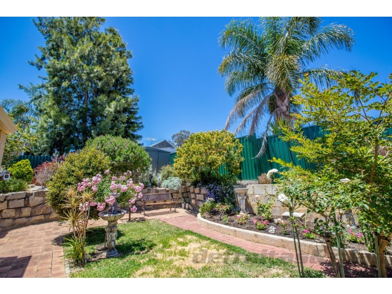 16 Aminya Avenue, Wanneroo WA 6065