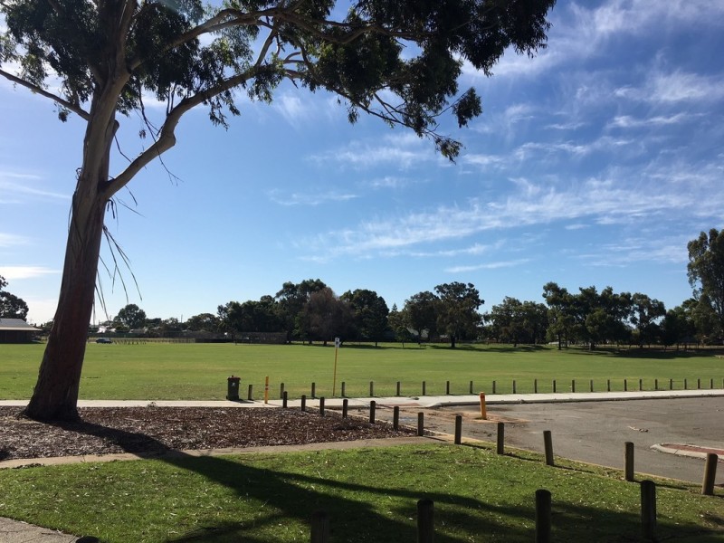 36a Carcoola Street, Nollamara WA 6061