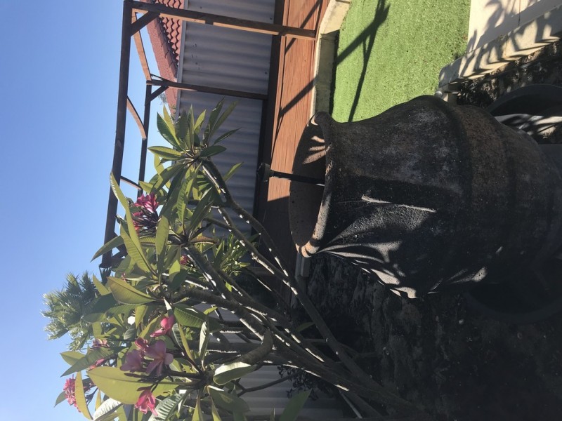 19 Breaksea Way, Ridgewood WA 6030