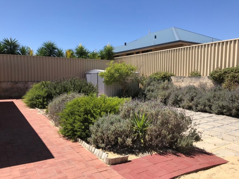 11 Pembury Way, Butler WA 6036