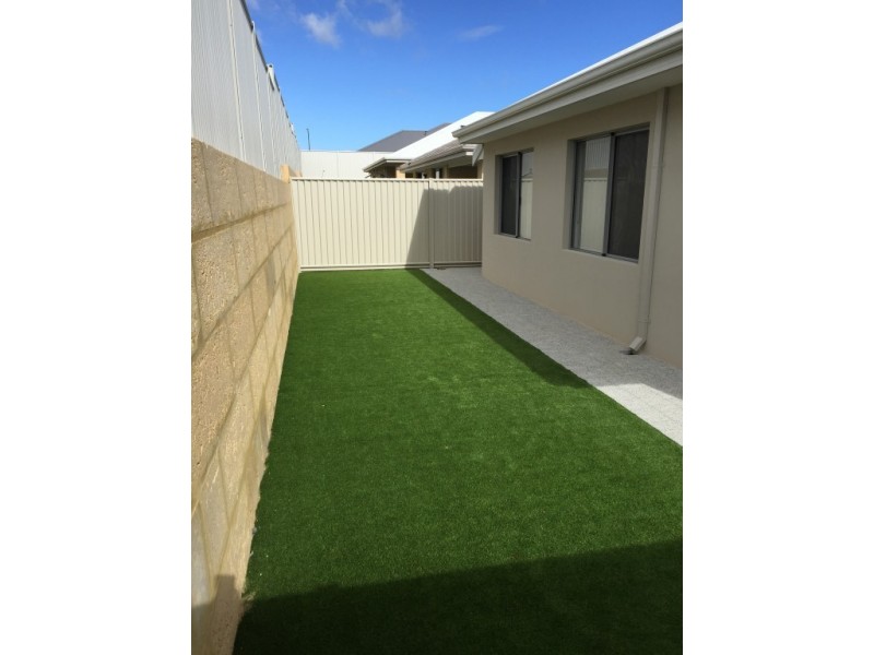 8 Pipefish Street, Alkimos WA 6038