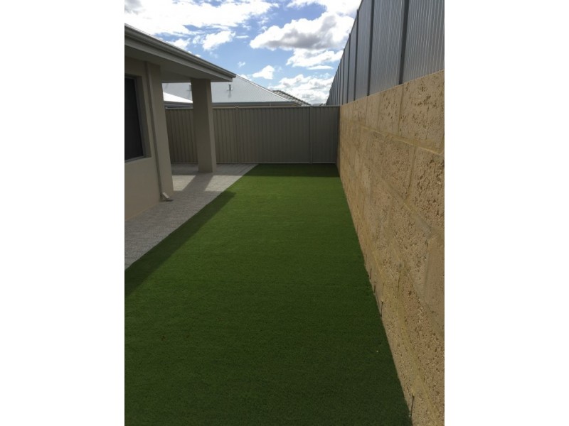 8 Pipefish Street, Alkimos WA 6038