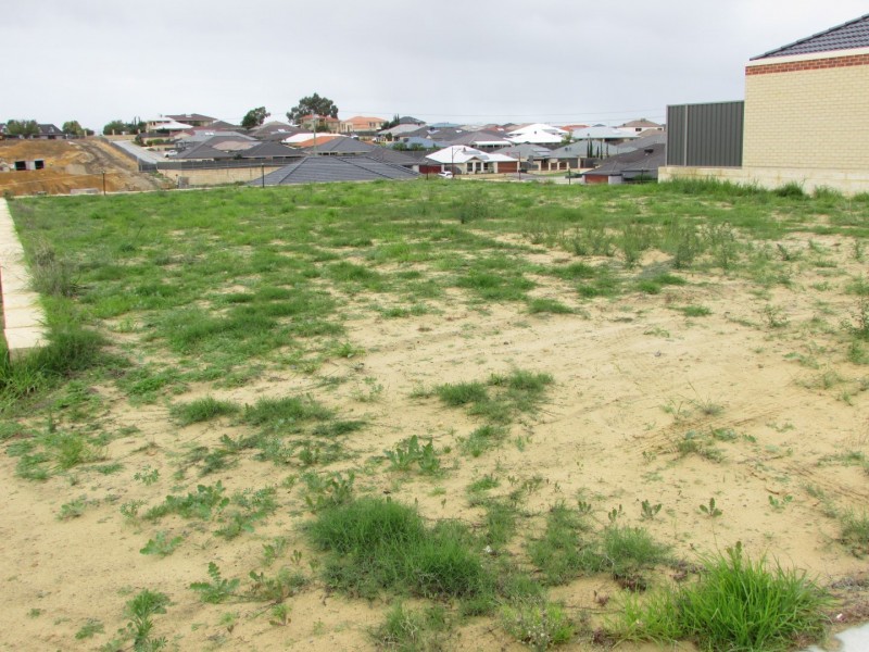 13 Botticelli Way, Landsdale WA 6065