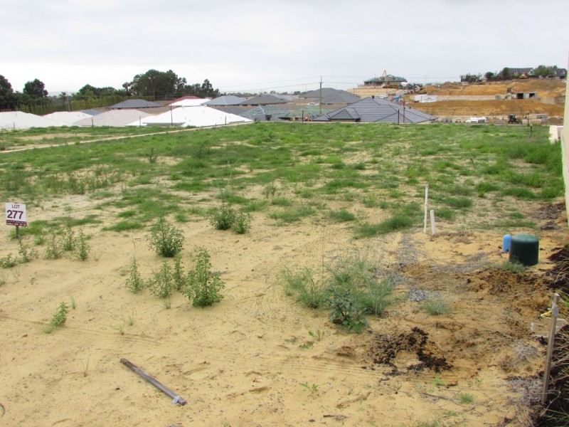 13 Botticelli Way, Landsdale WA 6065