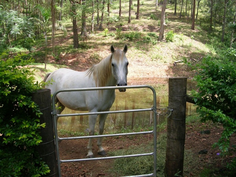 39 Fig Tree Lane, Upper Brookfield QLD 4069