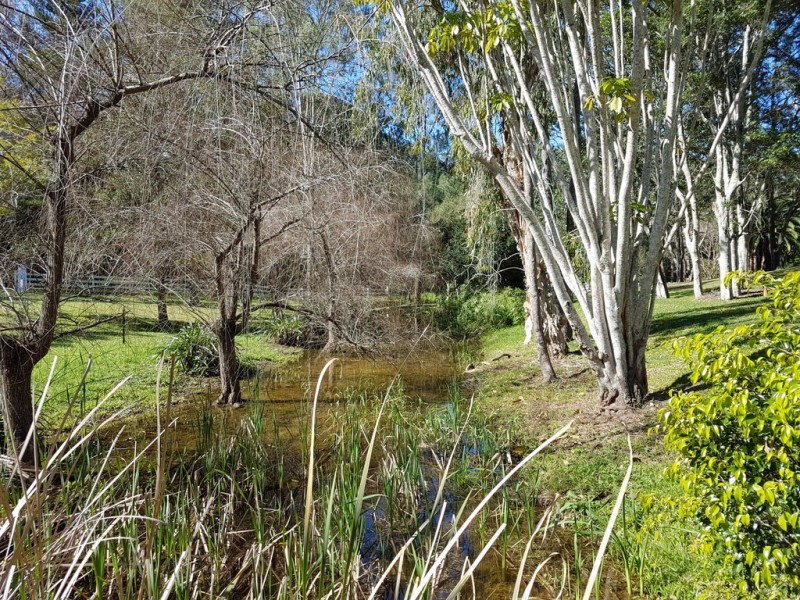 130 Savages Road, Brookfield QLD 4069