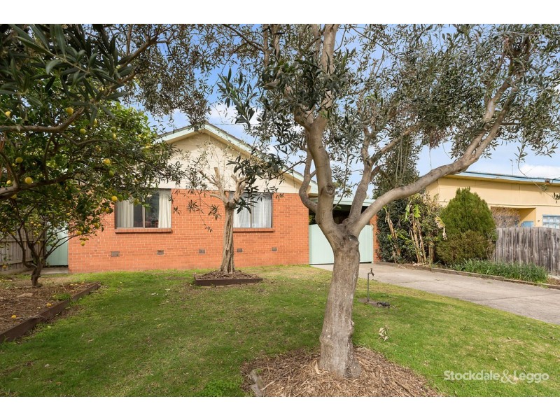 37 Callas Street, Dromana VIC 3936