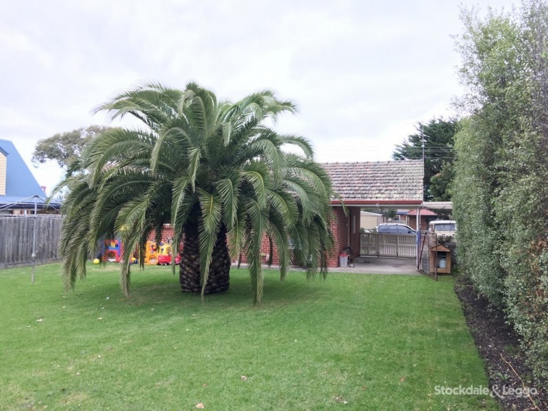 8 Tassel Road, Safety Beach VIC 3936