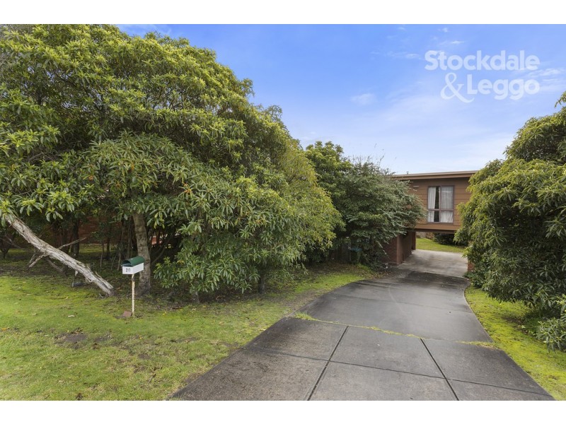 20 Atunga Terrace, Dromana VIC 3936