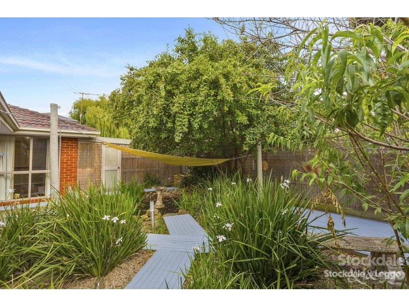 36 Potton Avenue, Rosebud VIC 3939