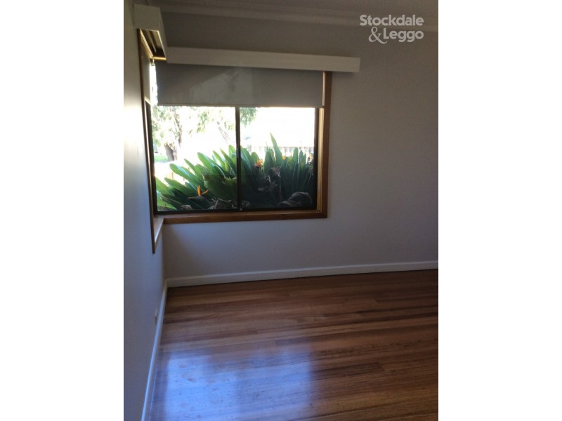 16 Ashkanasy Avenue, Pascoe Vale VIC 3044