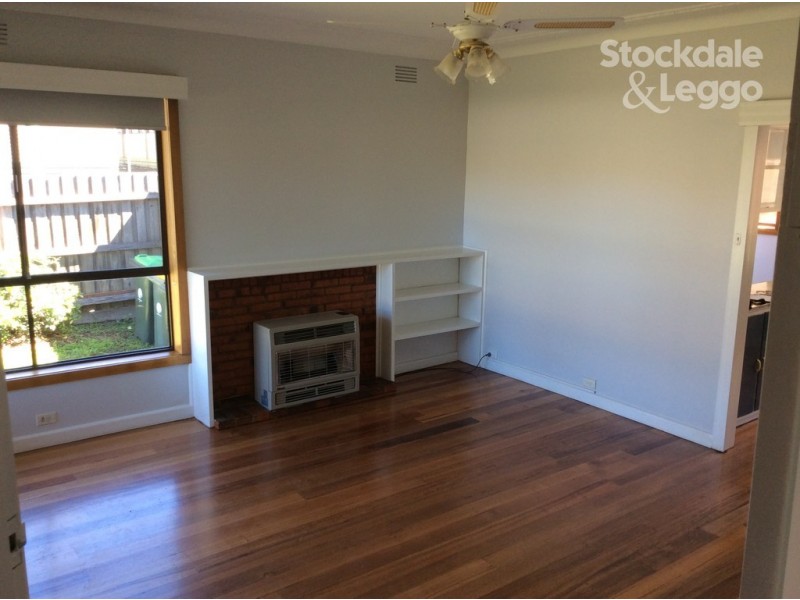 16 Ashkanasy Avenue, Pascoe Vale VIC 3044