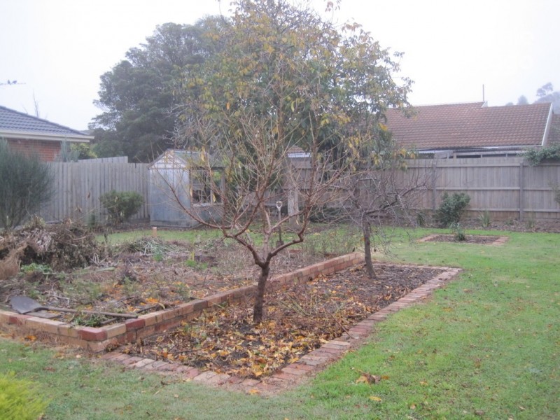 256 Melrose Dr, Tullamarine VIC 3043