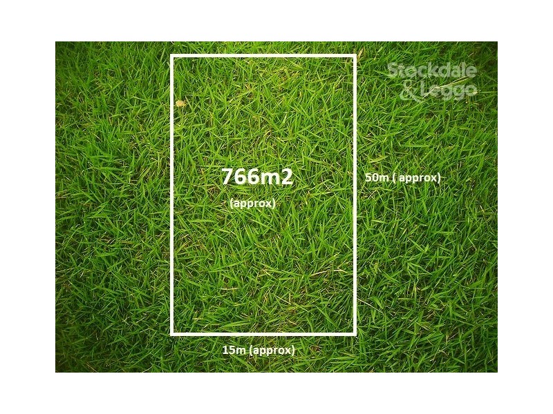 56 Gordon Street, Tullamarine VIC 3043