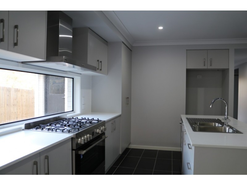 8 Bass Court, Oxenford QLD 4210