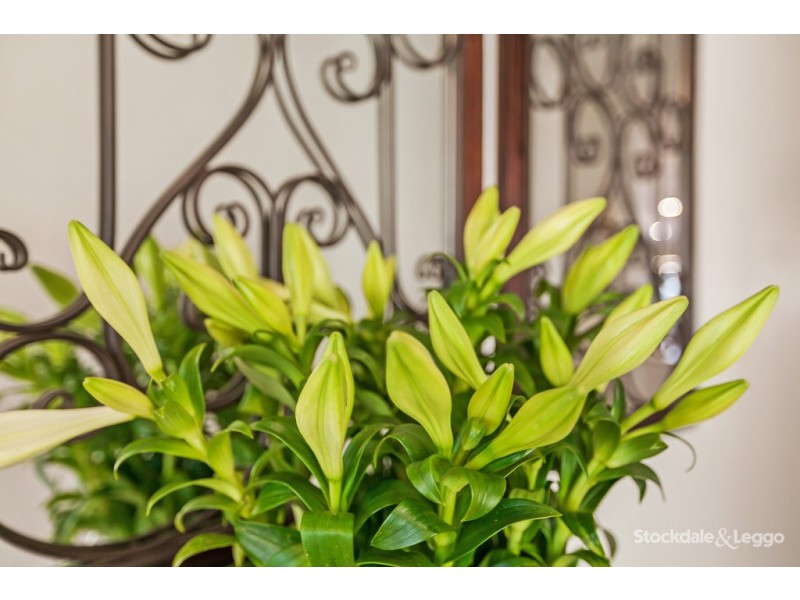 83 Orchard Road, Doreen VIC 3754