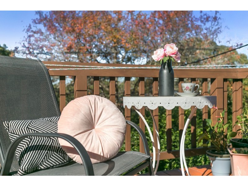 20 Condover Street, North Balgowlah NSW 2093