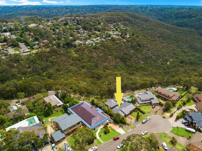 113 Ashworth Avenue, Belrose NSW 2085