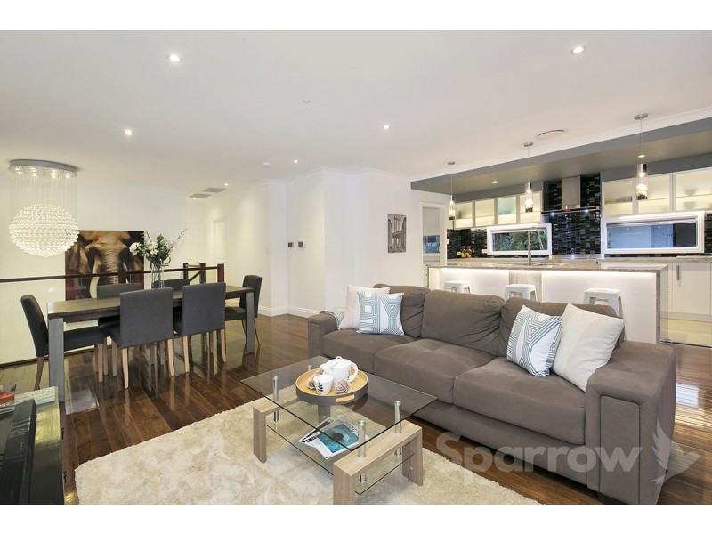 3 Dante Drive, Seven Hills QLD 4170