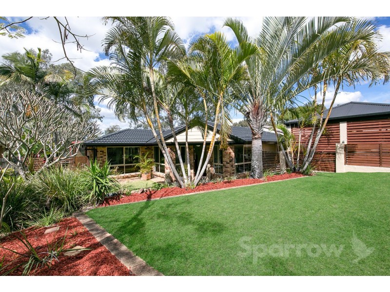 19 Chelsea Street, Runcorn QLD 4113