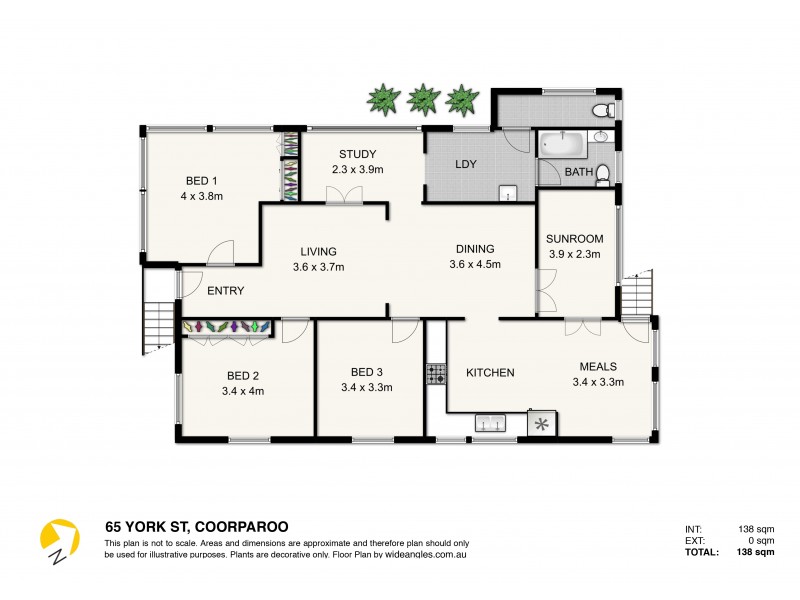65 York Street, Coorparoo QLD 4151 Floorplan