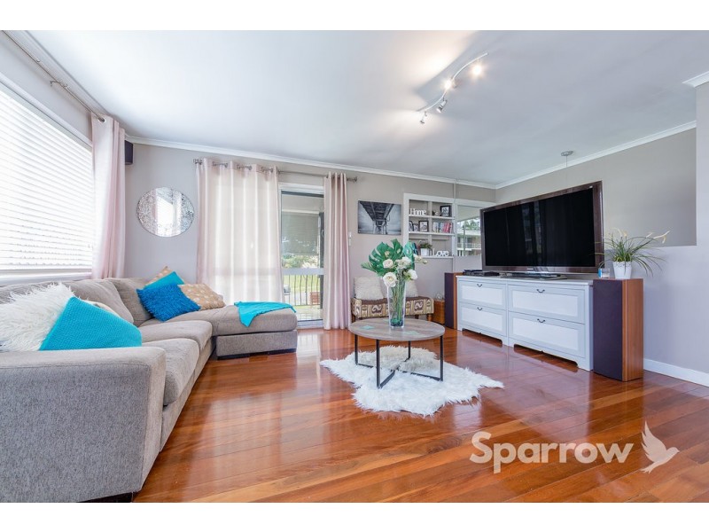 15 Honeysuckle Street, Mansfield QLD 4122