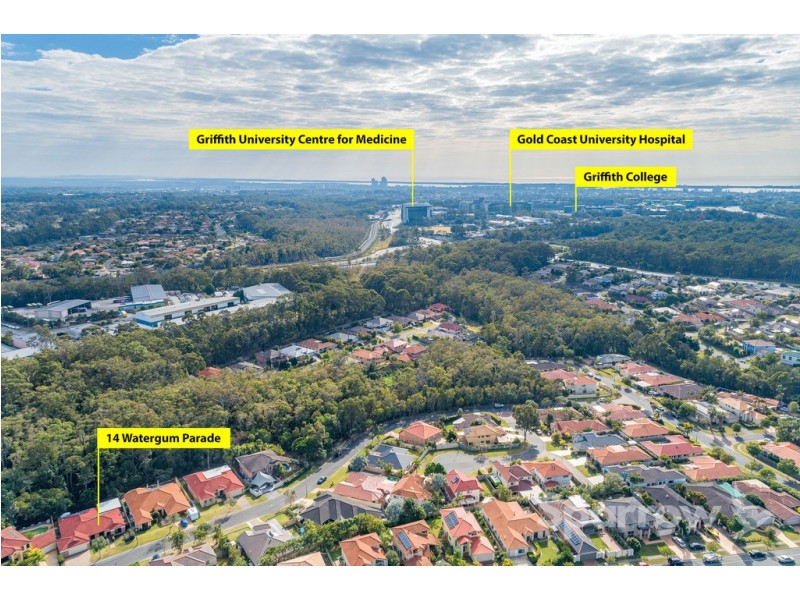 14 Watergum Parade, Molendinar QLD 4214