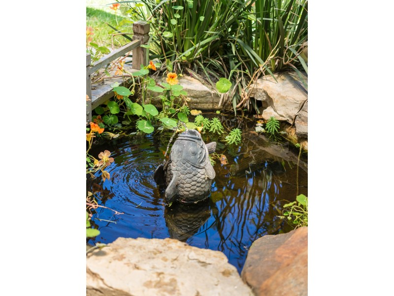 2 Emma Road, Nairne SA 5252