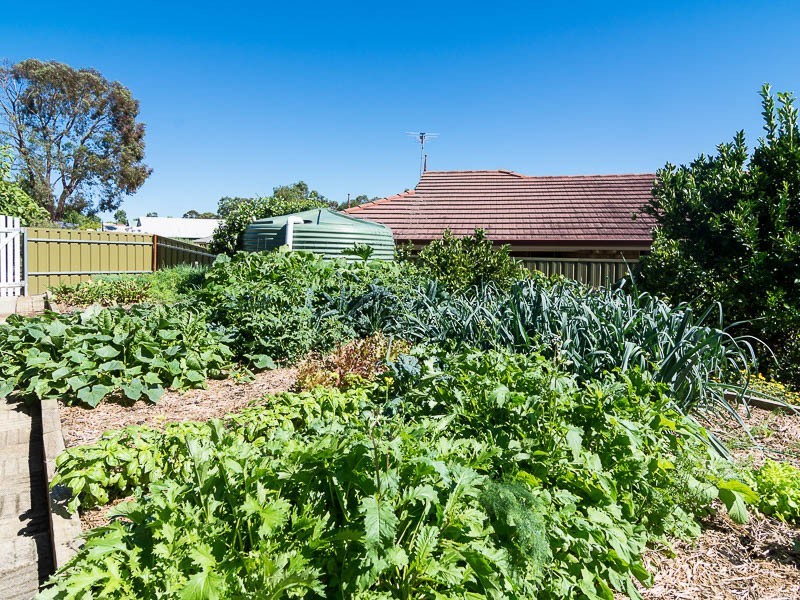 9 Ibis Court, Mount Barker SA 5251