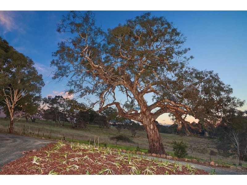 8 Edis Place, Nairne SA 5252