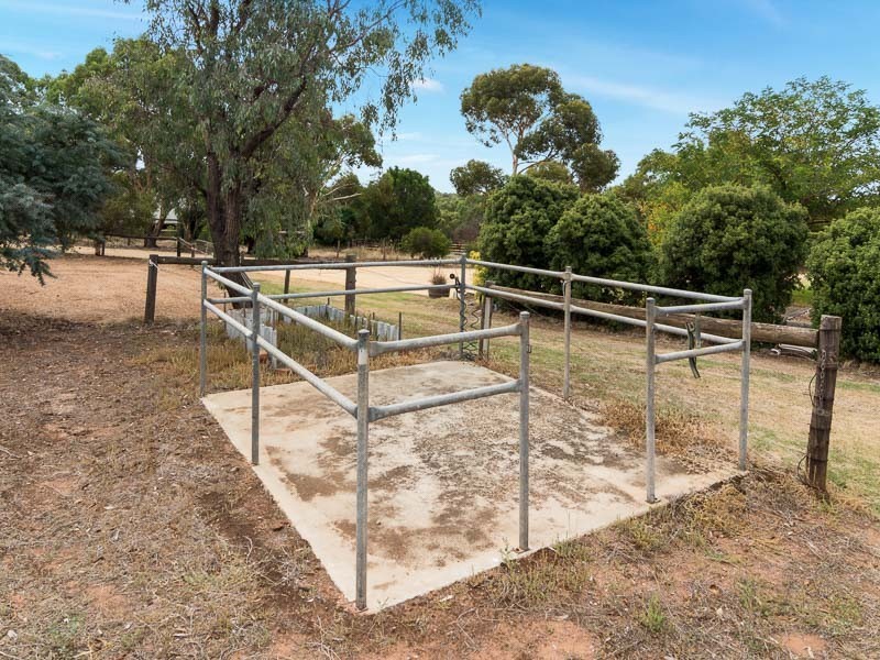 26 Albion Drive, Strathalbyn SA 5255