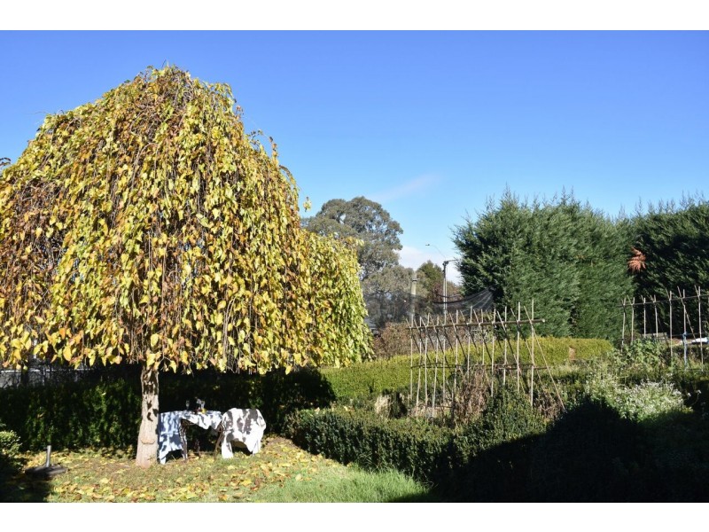 15 Shakes Road, Nairne SA 5252