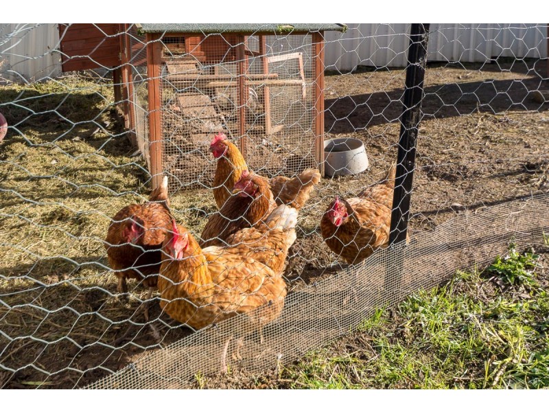 9 Newman Court, Littlehampton SA 5250