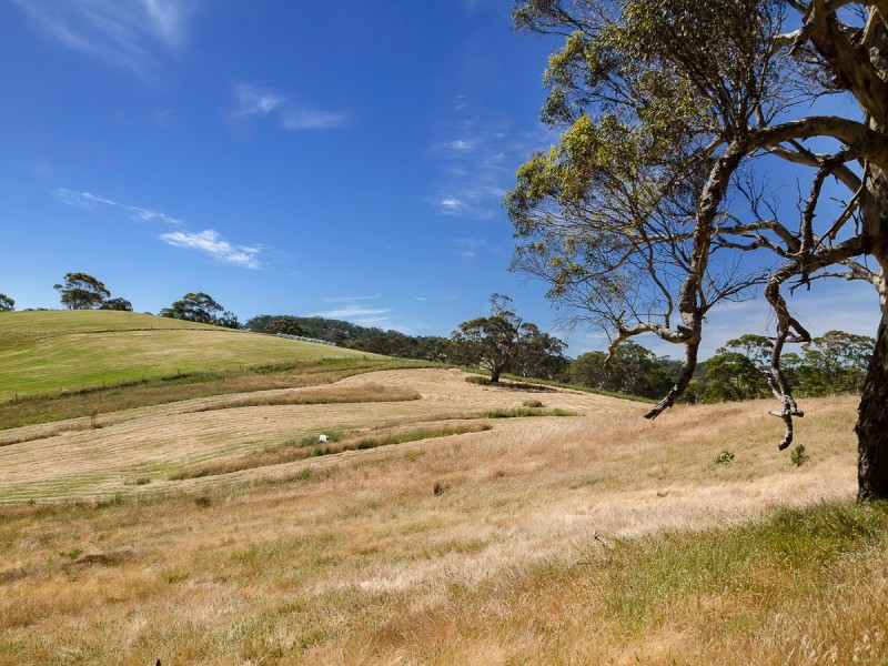 31 Tindale Road, Bugle Ranges SA 5251