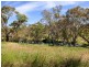31 Tindale Road, Bugle Ranges SA 5251