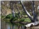 31 Tindale Road, Bugle Ranges SA 5251