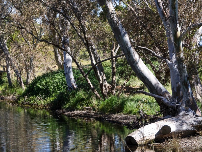 31 Tindale Road, Bugle Ranges SA 5251