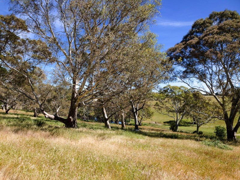 31 Tindale Road, Bugle Ranges SA 5251