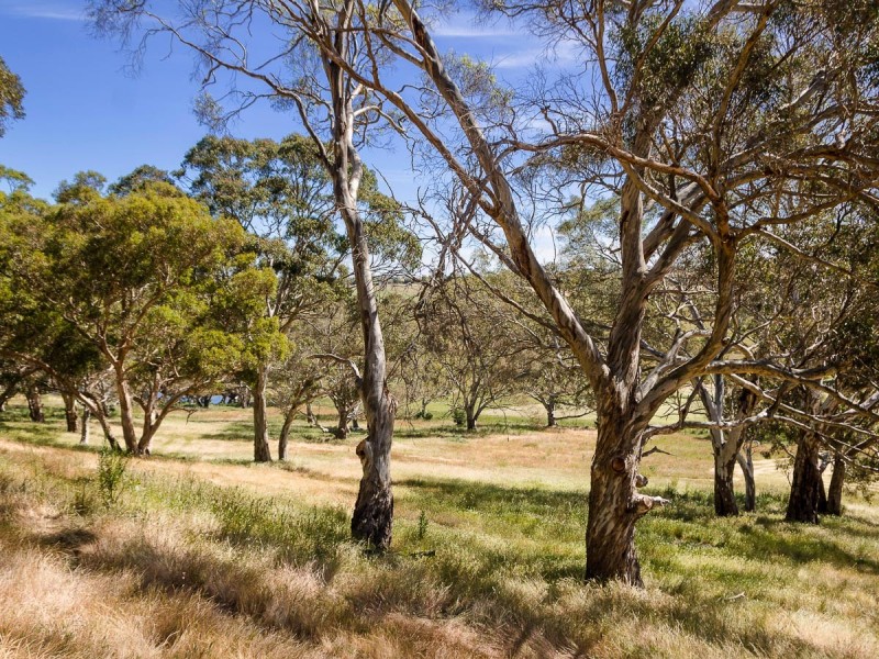 31 Tindale Road, Bugle Ranges SA 5251