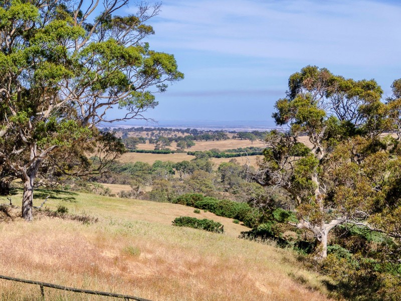 31 Tindale Road, Bugle Ranges SA 5251