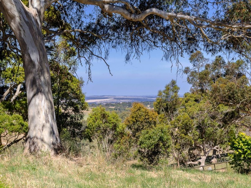 31 Tindale Road, Bugle Ranges SA 5251