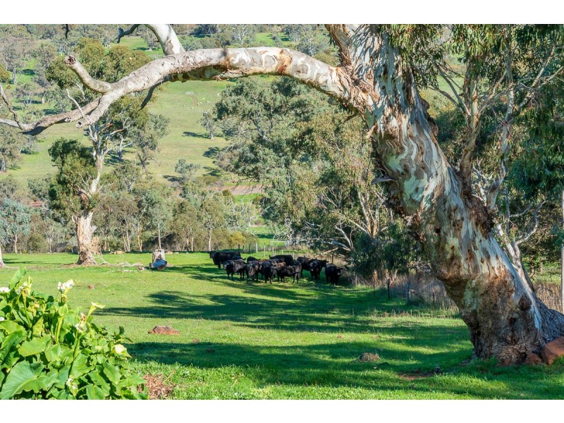 194 Ironstone Range Road, Nairne SA 5252