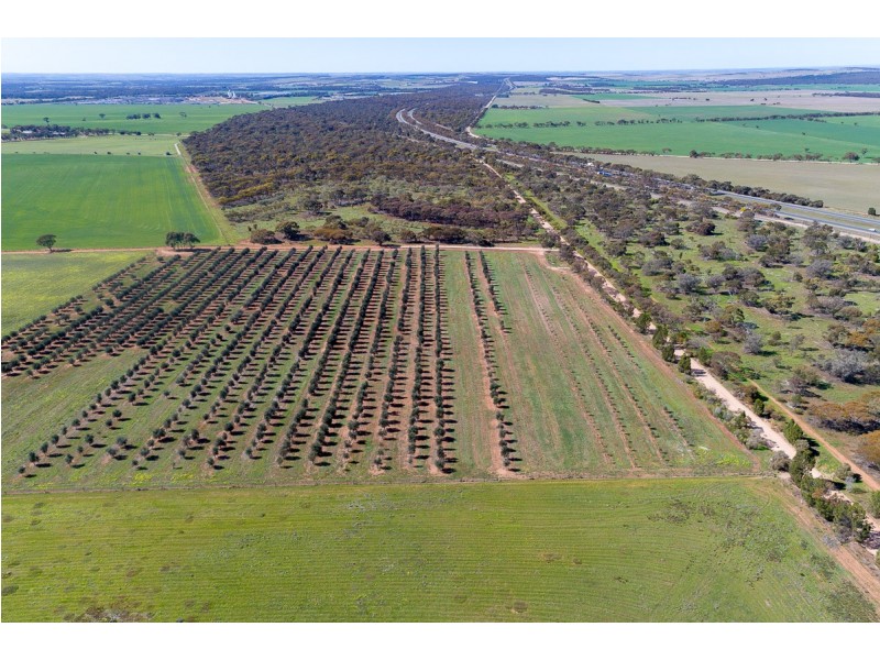 331 Thomas Crescent, Monarto South SA 5254