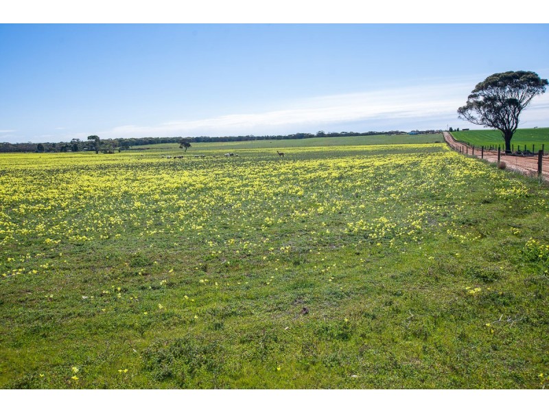 331 Thomas Crescent, Monarto South SA 5254