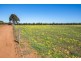331 Thomas Crescent, Monarto South SA 5254