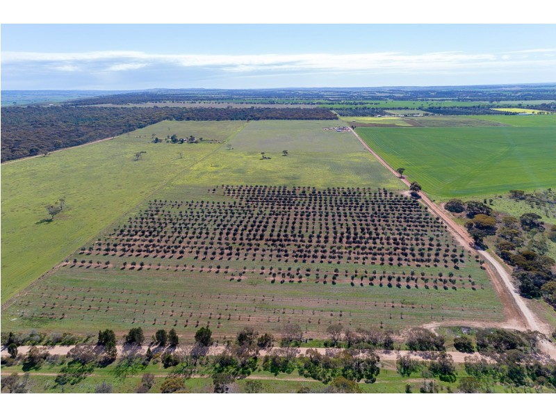 331 Thomas Crescent, Monarto South SA 5254