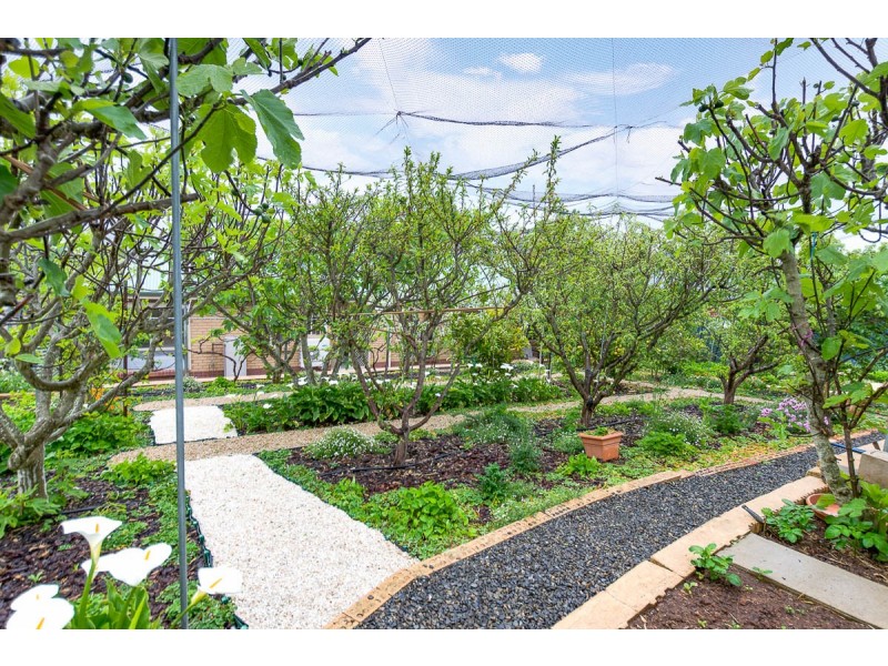 17 Monks Avenue, Littlehampton SA 5250