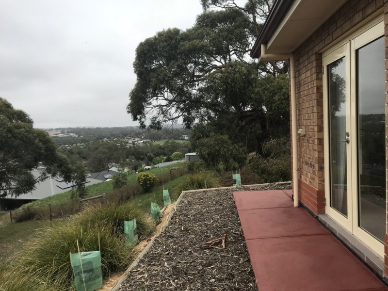 11 Sheridan Court, Mount Barker SA 5251
