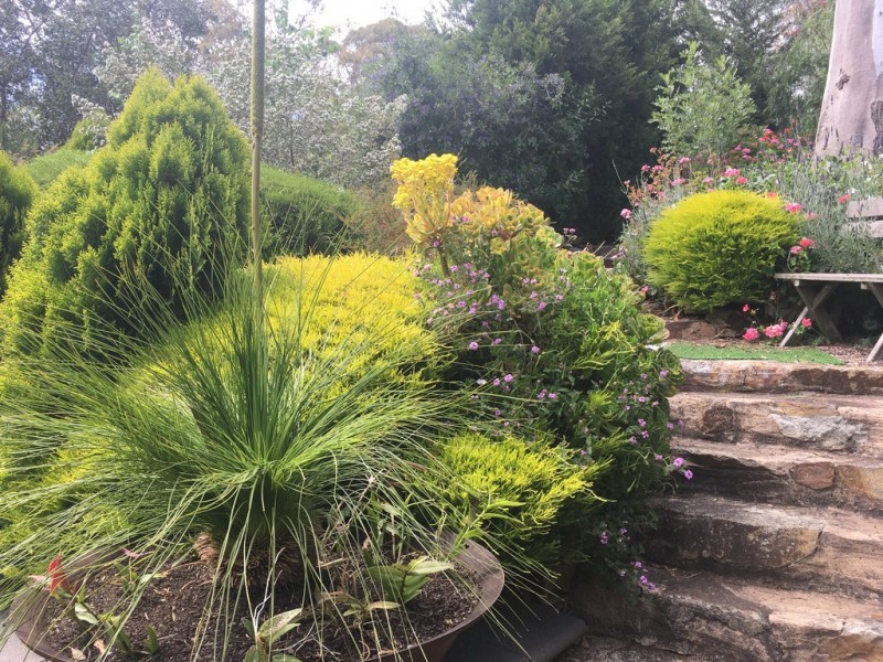 6 Hillside Court, Mount Barker SA 5251