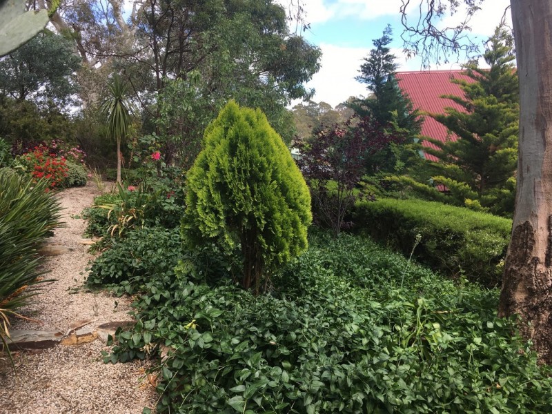 6 Hillside Court, Mount Barker SA 5251